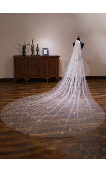 One-tier Cut Edge Cathedral Bridal Veils With Lace