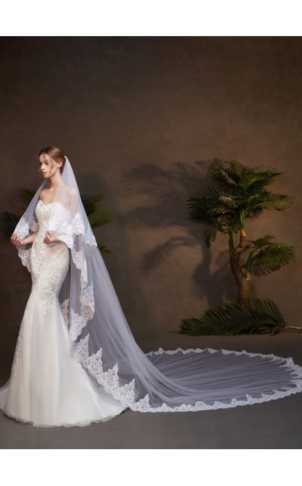 Two-tier Lace Applique Edge Cathedral Bridal Veils With Lace