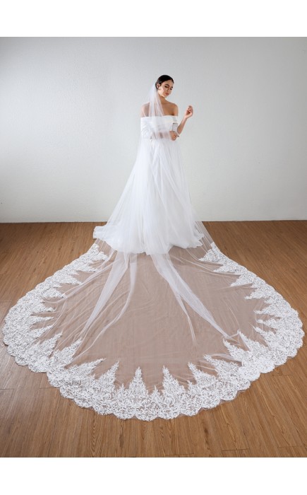 One-tier Lace Applique Edge Cathedral Bridal Veils With Lace