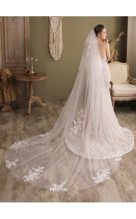 Two-tier Lace Applique Edge Cathedral Bridal Veils With Lace